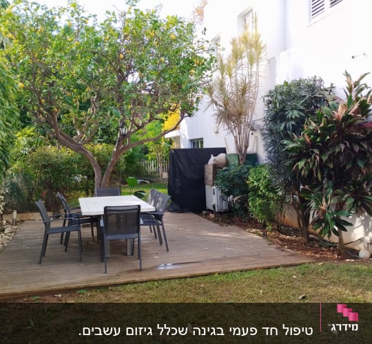 עץ לימון, שיחים ודשא בגינה פרטית